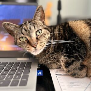 Meet your Posher, Philip